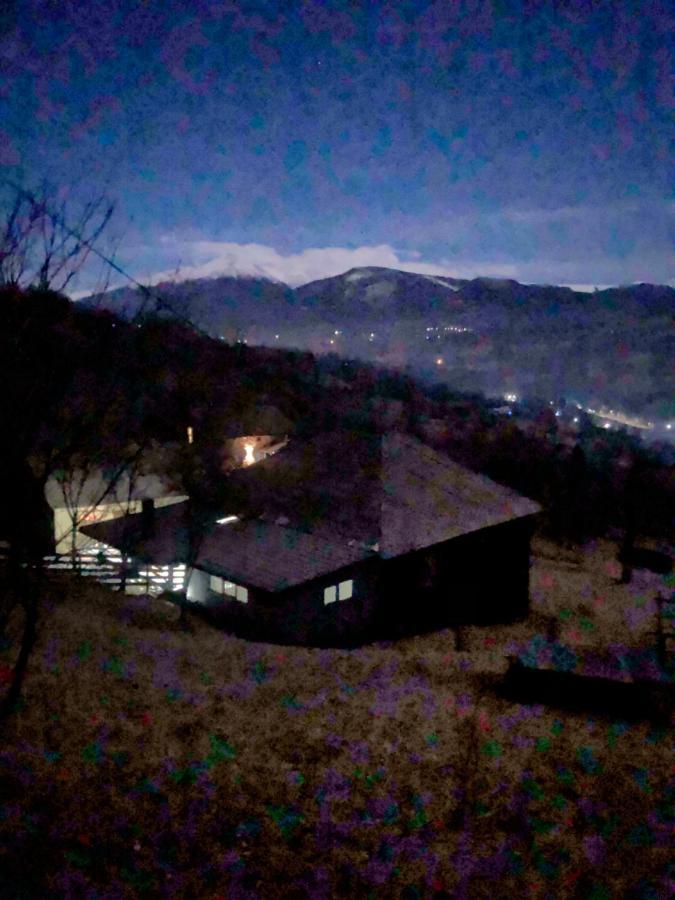 Cabana Hatere Moisei Eksteriør bilde