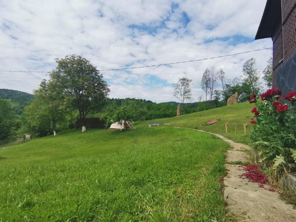 Cabana Hatere Moisei Eksteriør bilde