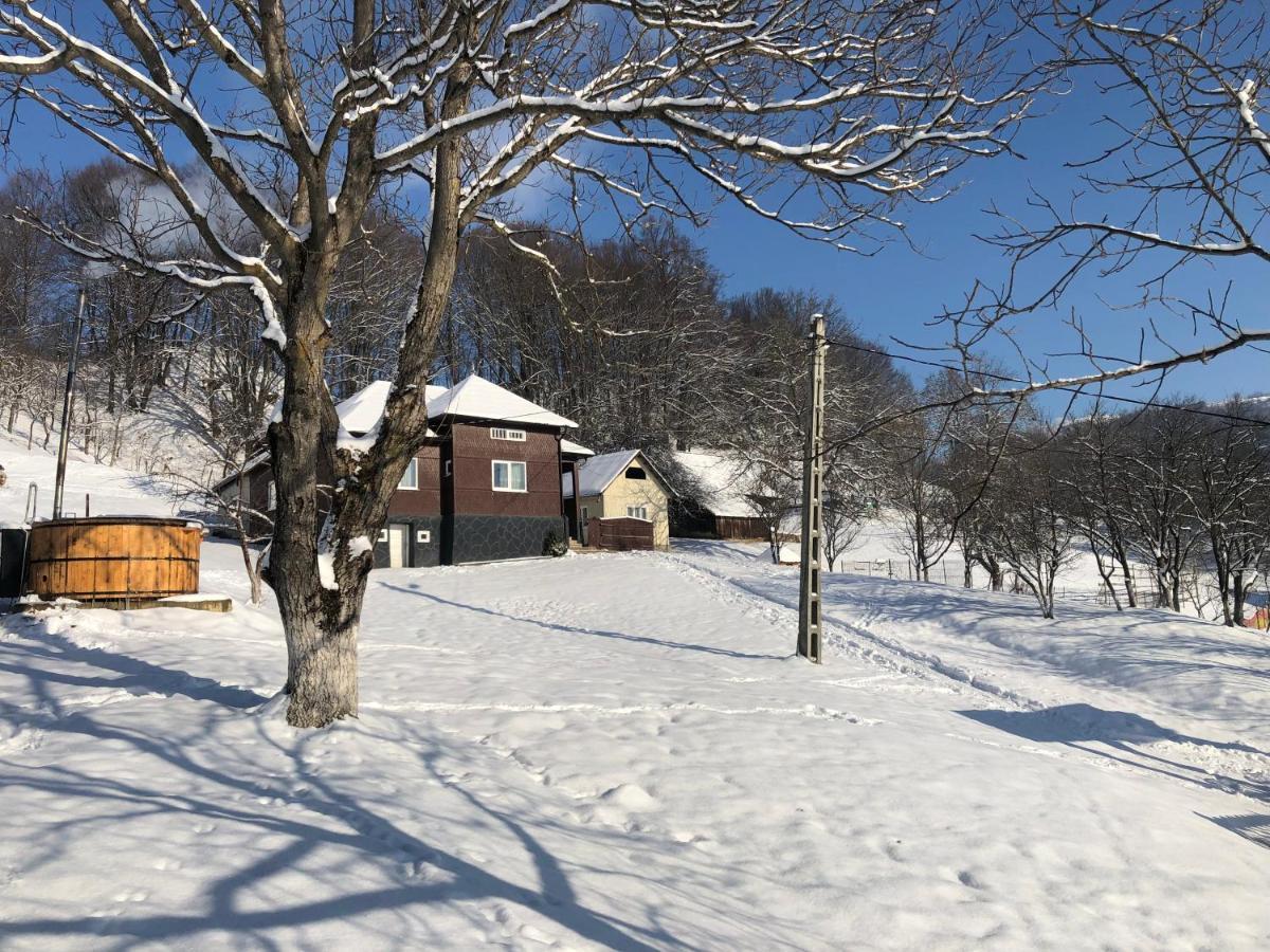 Cabana Hatere Moisei Eksteriør bilde