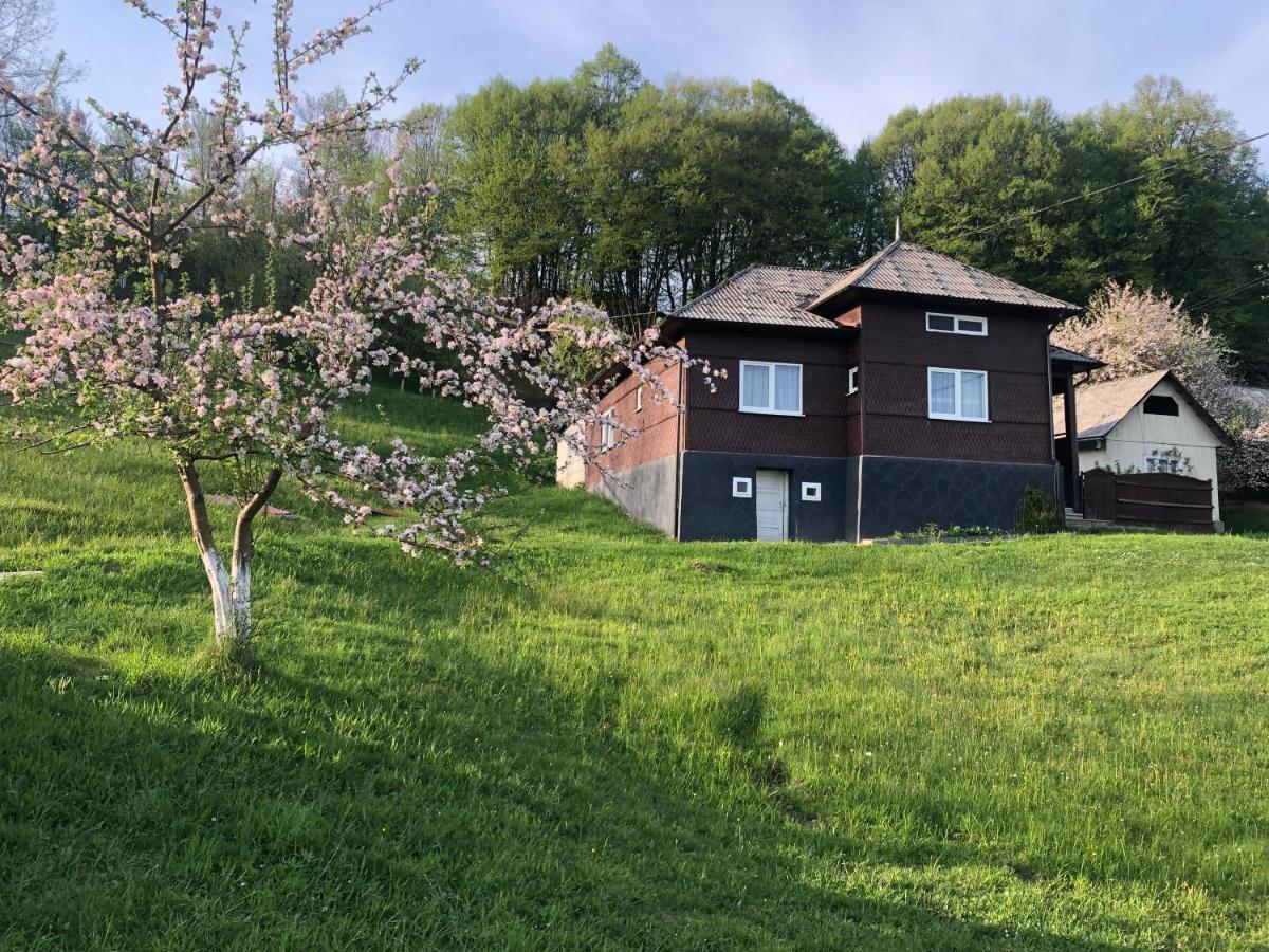 Cabana Hatere Moisei Eksteriør bilde