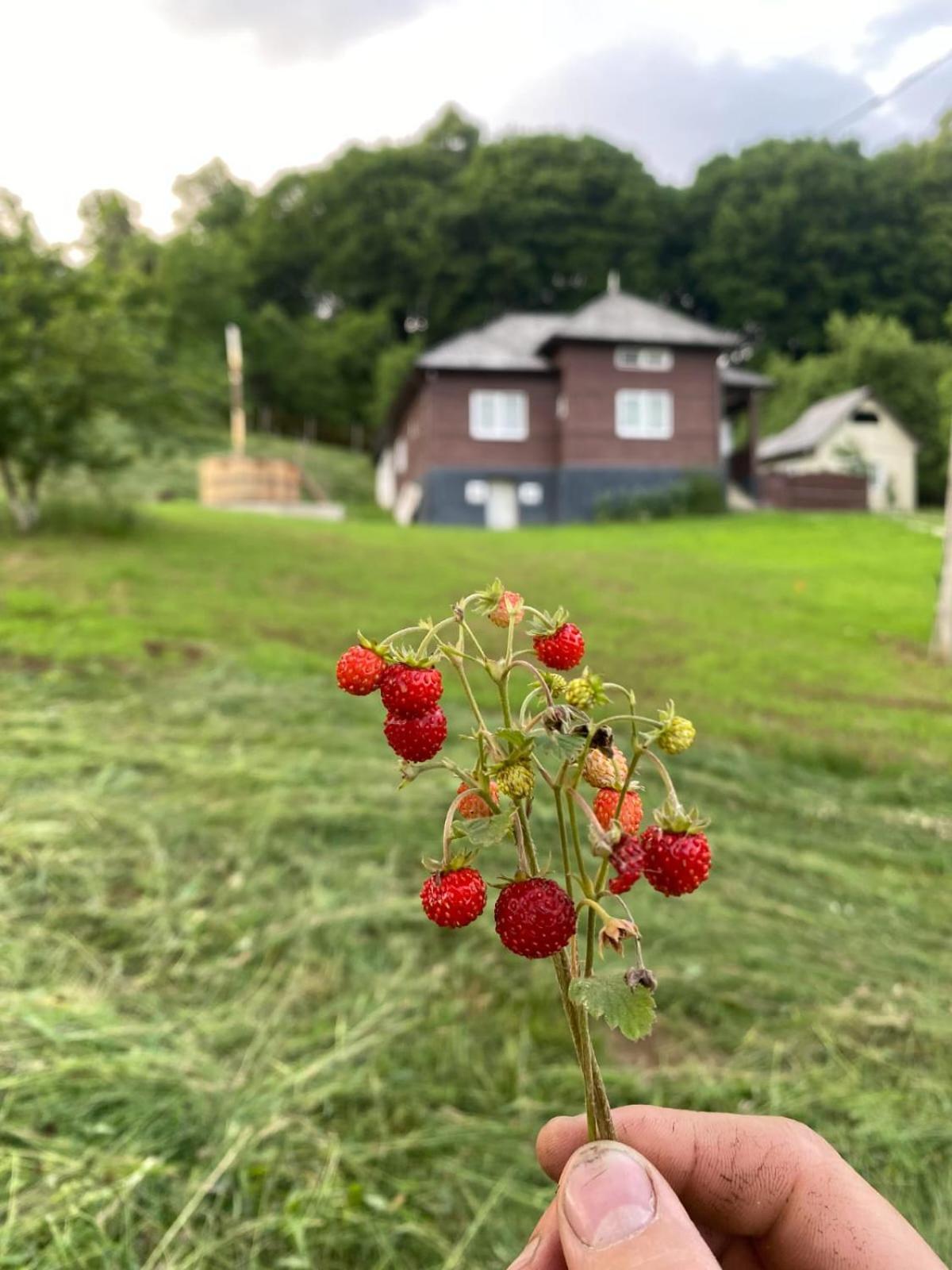 Cabana Hatere Moisei Eksteriør bilde